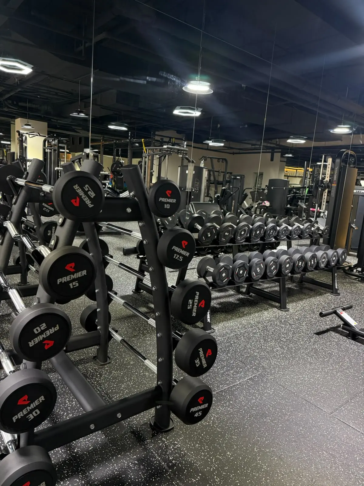 Premium dumbbell and free-weight zone at Fitness Line Gym
